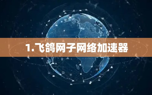 1.飞鸽网子网络加速器