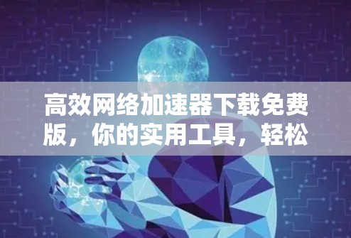 高效网络加速器下载免费版,你的实用工具,轻松提升网络速度