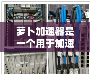萝卜加速器是一个用于加速下载和安装软件的工具。如果你正在寻找最新的免费版,通常会发现它仍然提供免费功能。以下是使用免费版萝卜加速器的步骤