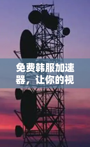 免费韩服加速器,让你的视频传输速度飞快!