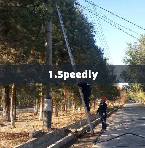 1.Speedly
