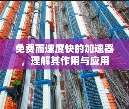 免费而速度快的加速器,理解其作用与应用