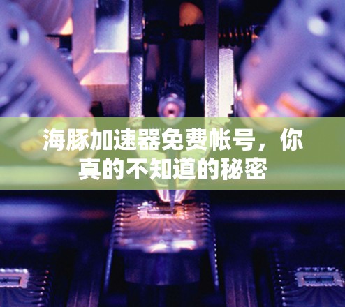 海豚加速器免费帐号,你真的不知道的秘密