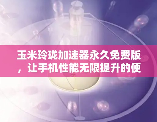 玉米玲珑加速器永久免费版，让手机性能无限提升的便捷选择