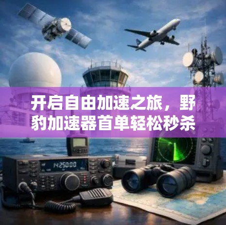 开启自由加速之旅,野豹加速器首单轻松秒杀