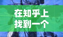 在知乎上找到一个永久免费的加速器，通常是因为用户对内容优化和SEO优化的需要较高，希望快速提升内容排名和获得高质量内容。以下是对这种加速器需求的详细分析和建议