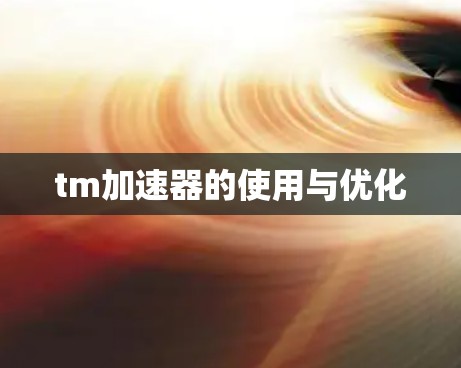 tm加速器的使用与优化