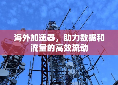 海外加速器,助力数据和流量的高效流动