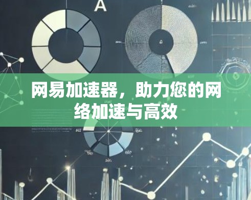网易加速器,助力您的网络加速与高效 网易加速器,助力您的网络加速与高效