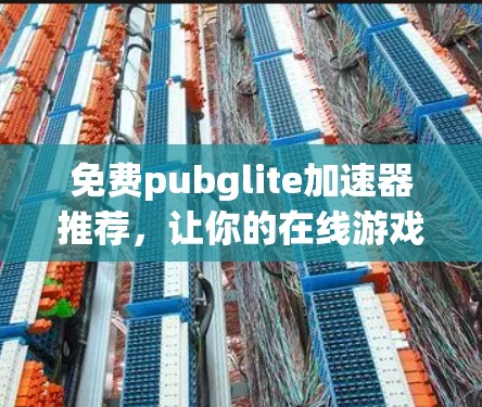 免费pubglite加速器推荐,让你的在线游戏世界更流畅 免费pubglite加速器推荐,让你的在线游戏世界更流畅