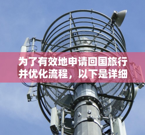 为了有效地申请回国旅行并优化流程，以下是详细的步骤和建议