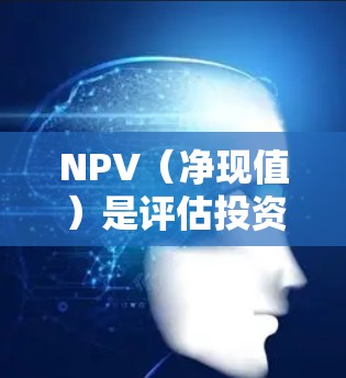 NPV(净现值)是评估投资或项目经济可行性的重要指标。它通过将未来现金流量按时间价值(即时间的货币价值)折现,计算出项目在特定条件下(如资本成本)的现值,然后减去初始投资,得出净现值