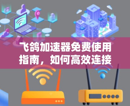 飞鸽加速器免费使用指南,如何高效连接网络?