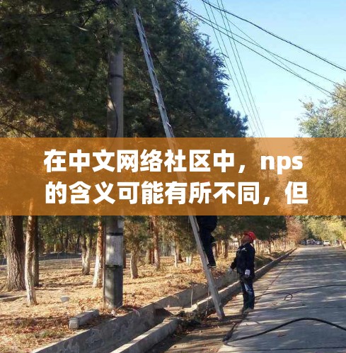 在中文网络社区中，nps 的含义可能有所不同，但常见的使用场景可能是寻找一个非线性加速器或非线性系统分析工具。以下是一些可能的推荐